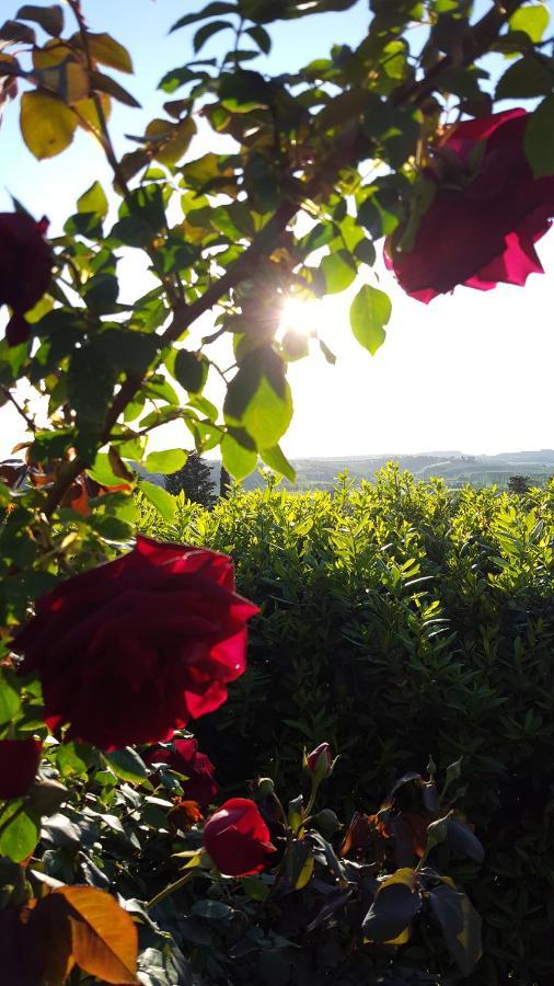 Sunset Hill - Tuscany - Villa & Private Pool Castelfiorentino Esterno foto